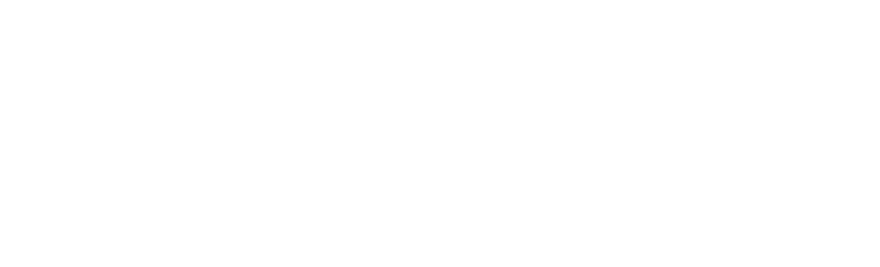 annies painting and decorating logo upscaled white